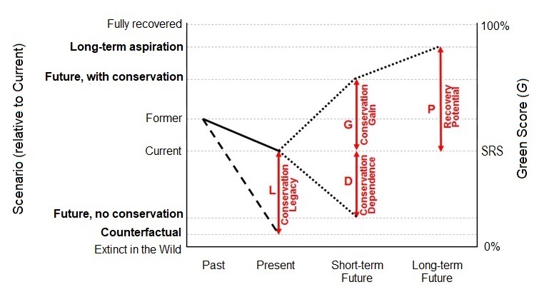 gss graph2 molly grace