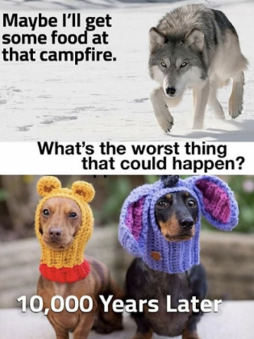 zehui zhang research2