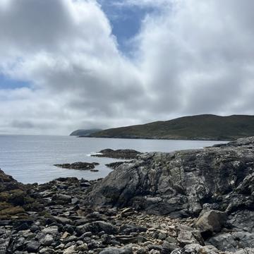 charlotte simpson research