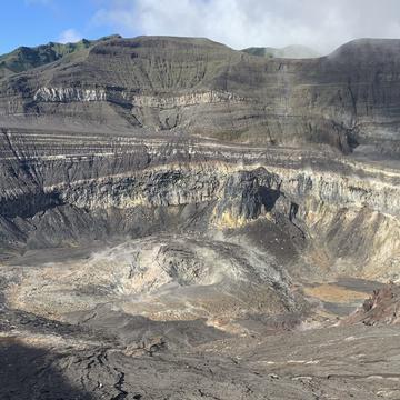 megan taylor research